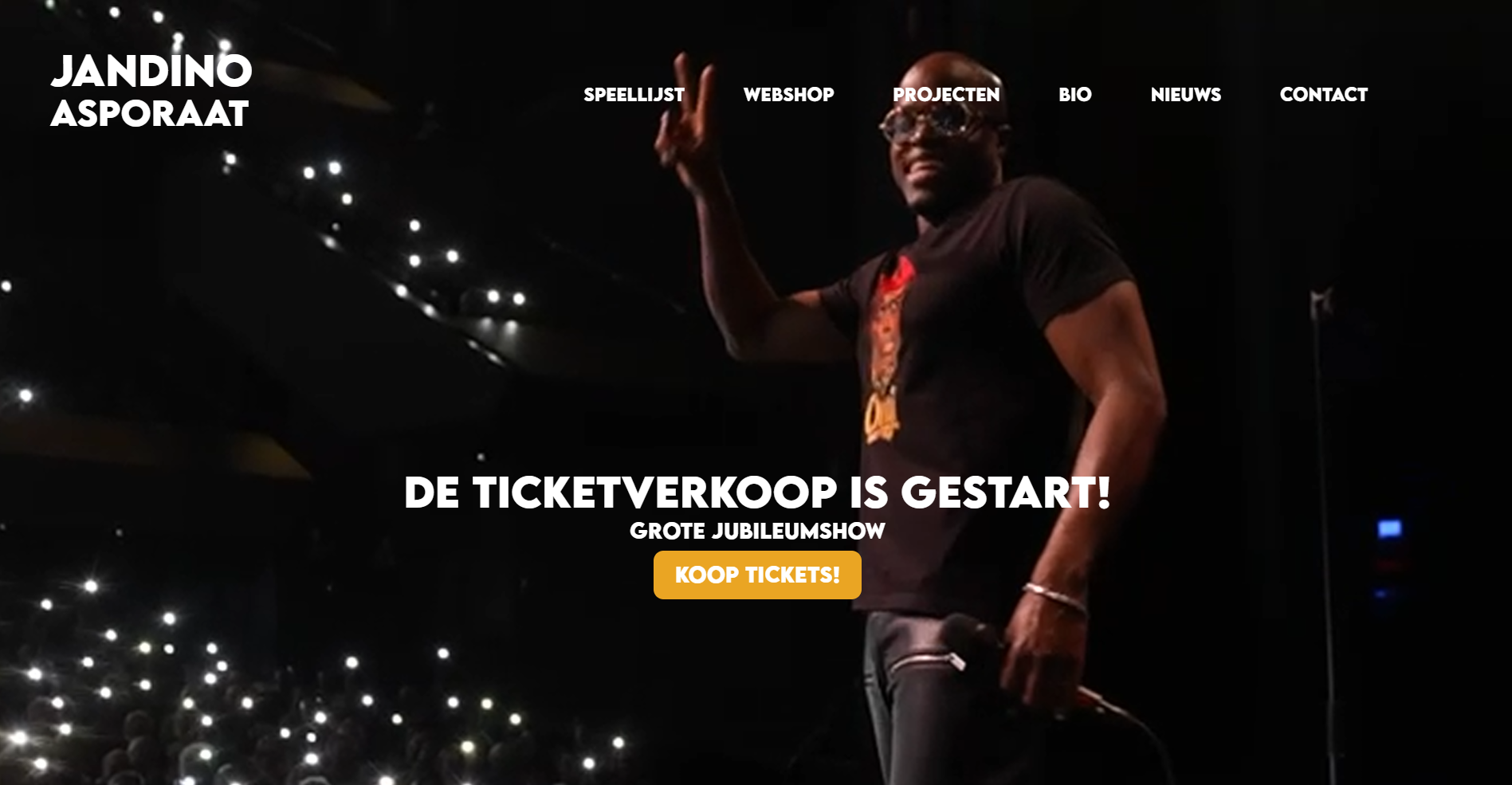 Voorbeeld van een professionele website